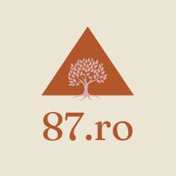 87.RO